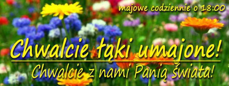 baner_majowe